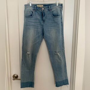 Pilcro and the Letterpress for Anthropologie Denim Boyfriend Jeans sz 30
